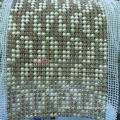 decorative Pearl Design Ribbon Mesh for Sew-on